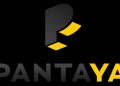LOgo de sistema de streaming Pantaya